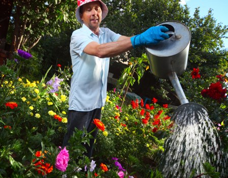 Professional hedge trimming service in Mayfair garden