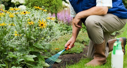 Professional hedge trimmer working in Mayfair