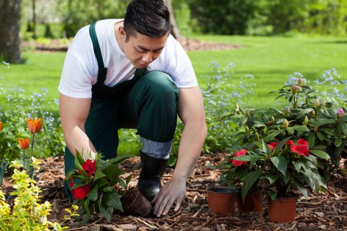 Supervisor inspecting hedge for quality and plant health