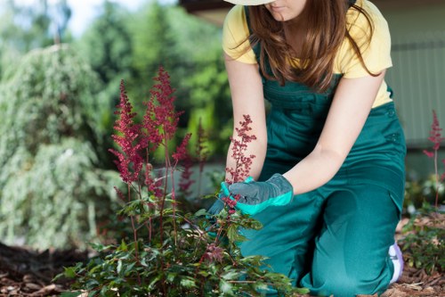 Team of Hedge Trimming Mayfair maintaining a commercial estate