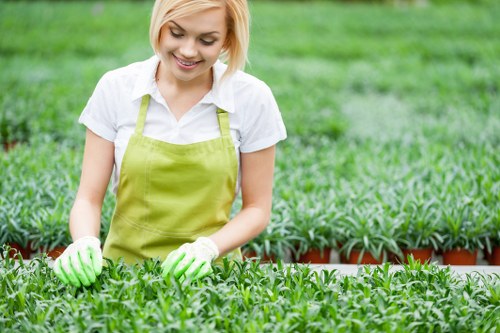 State-of-the-art hedge trimming equipment in use